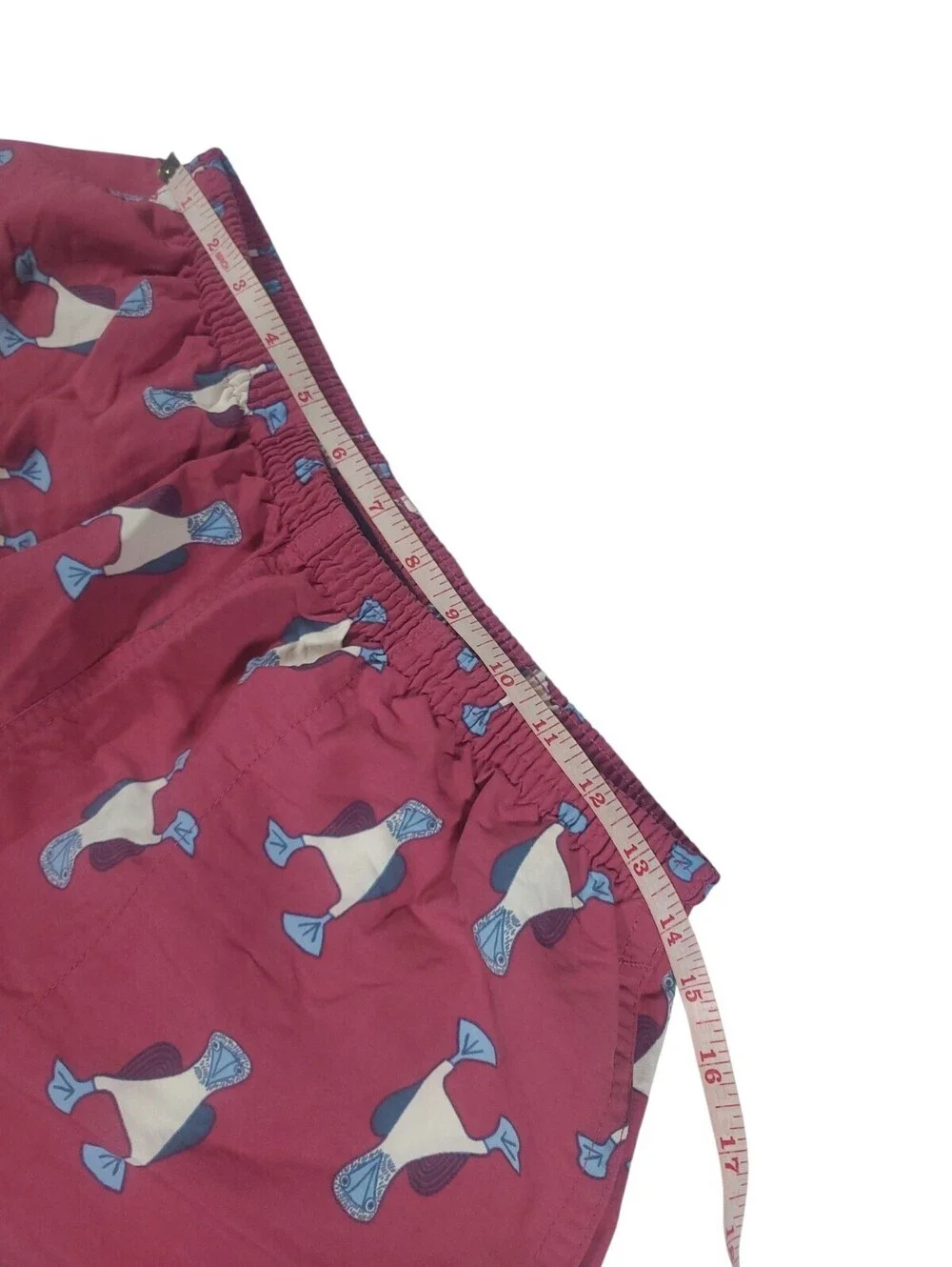 Patagonia Baggies Shorts Men's M 5